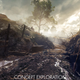 Illustration for article titled Battlefield 1 Gets Around To Adding The French